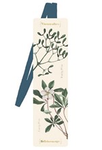 ΣΕΛΙΔΟΔΕΙΚΤΗΣ MOSES ΜΕ ΛΑΣΤΙΧΟ HERBARIUM HIVER M83448