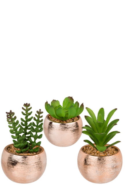 ΓΛΑΣΤΡΑΚΙ OUT OF THE BLUE ROSE GOLD