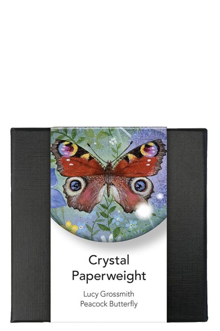ΠΡΕΣ ΠΑΠΙΕ MUSEUMS & GALLERIES LUCY GROSSMITH-PEACOCK BUTTERFLY