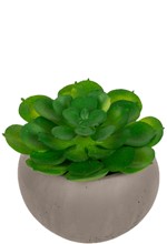 ΓΛΑΣΤΡΑΚΙ OUT OF THE BLUE 6*6 εκ.ΤΣΙΜΕΝΤΟ