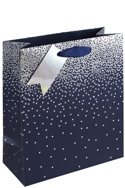 ΤΣΑΝΤΑ ΔΩΡΟΥ 21,5*10,2*25,3cm.NAVY OMBRE