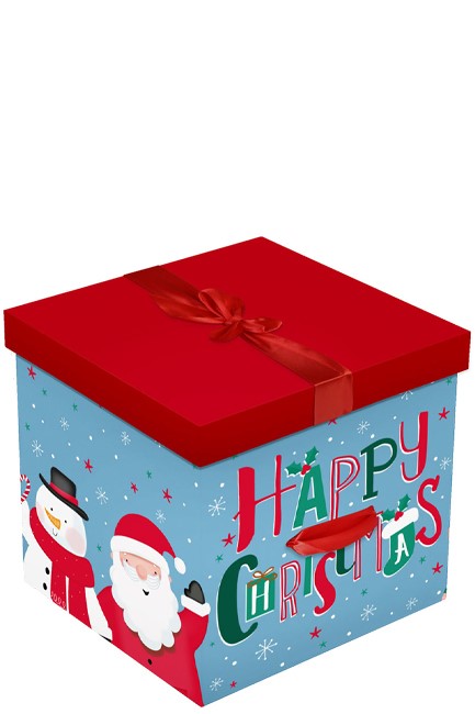 ΚΟΥΤΙ ΔΩΡΟΥ XMAS 28*28cm.CUTE CHARACTERS