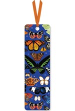 ΣΕΛΙΔΟΔΕΙΚΤΗΣ ΜΕ ΚΟΡΔΕΛΑ MUSEUMS & GALLERIES MARY KATRANTZOU BUTTERFLIES