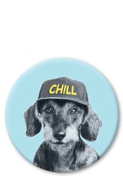 ΜΑΓΝΗΤΗΣ PICKMOTION MEDIUM CHILL DOG