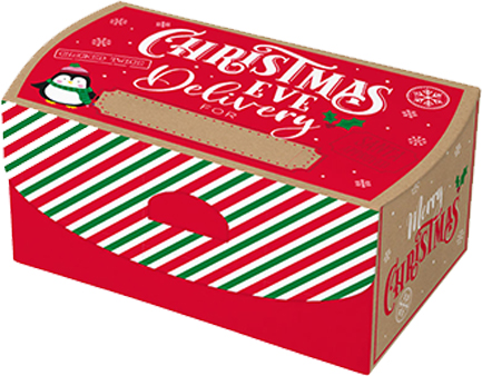 ΚΟΥΤΙ ΔΩΡΟΥ XMAS 20*30*17cm.POST DELIVERY