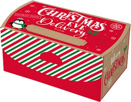 ΚΟΥΤΙ ΔΩΡΟΥ XMAS 20*30*17cm.POST DELIVERY