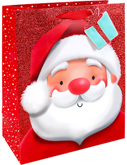 ΤΣΑΝΤΑ ΔΩΡΟΥ XMAS 33*46*15cm.GLITTER SANTA