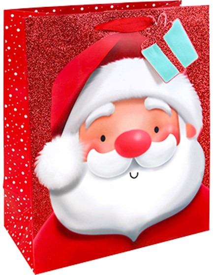ΤΣΑΝΤΑ ΔΩΡΟΥ XMAS 27*33*14cm.GLITTER SANTA