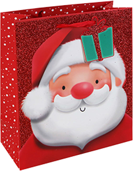 ΤΣΑΝΤΑ ΔΩΡΟΥ XMAS 22*25*10cm.GLITTER SANTA