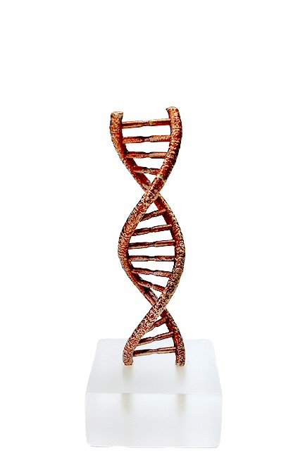ΓΛΥΠΤΟ ΑΠΟ ΜΠΡΟΥΤΖΟ DNA ΣΕ ΒΑΣΗ ΑΠΟ PLEXI 4*4*2 εκ.
