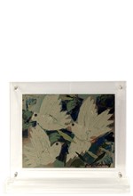 ΦΤΕΡΟΥΓΙΣΜΑΤΑ PLEXI ΕΠΙΚΑΘΗΜΕΝΟ 26*22 εκ.