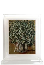 ΕΛΙΑ ΚΑΙ ΣΚΑΛΑ PLEXI ΕΠΙΚΑΘΗΜΕΝΟ 22*26 εκ.